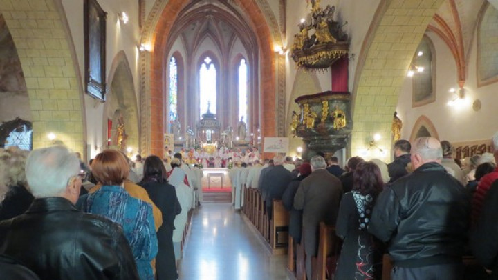 Stolnica sv. Danijela, Celje