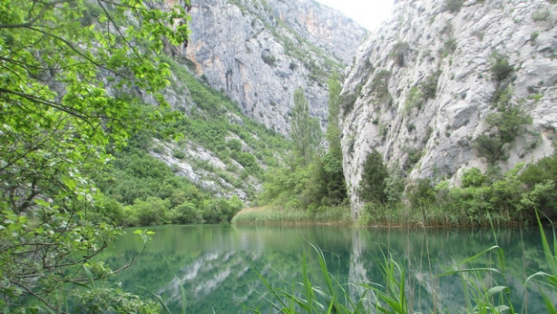 Kanjon Cetinje