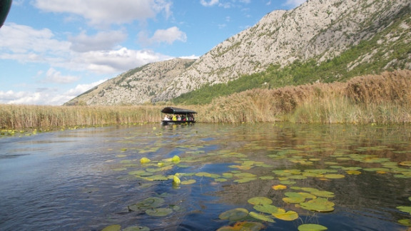 Čudovita pokrajina ob vožnji s trupicami