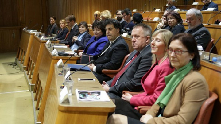 Posvet v Državnem svetu RS, foto: DS