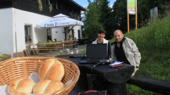 Žemljice na Gori Oljki