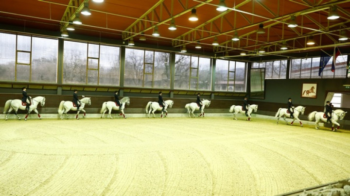 Premierna predstava leta 2017