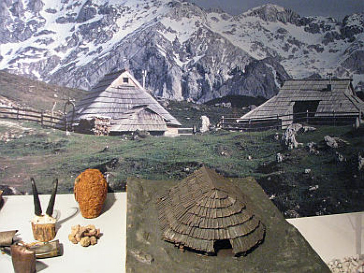 Prikaz Velike planine in planšarije
