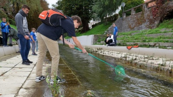 Po Gradaščici so plavali predmeti, ki vanjo ne sodijo