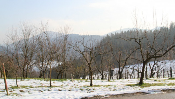 Sadovnjak pozimi počiva