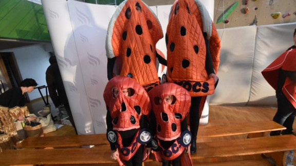 Crocksi