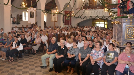 Verniki, zbrani v Turnišču