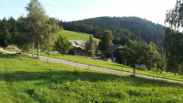 Kmetija Šteharnik