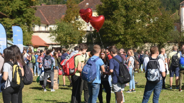 Stična mladih