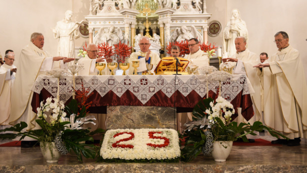 Somaševanje škofov 