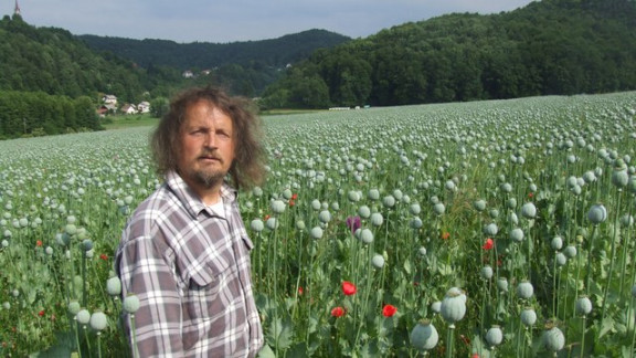 Mitja Berce
