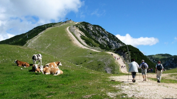 Panorama Krvavec