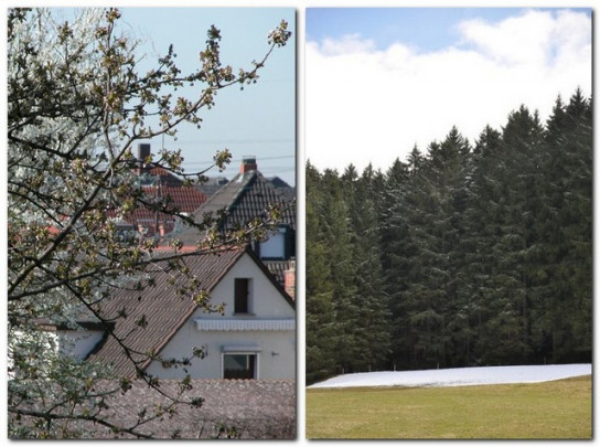 Nasprotje: pomlad v Mannheimu, zima v Schwarzwaldu