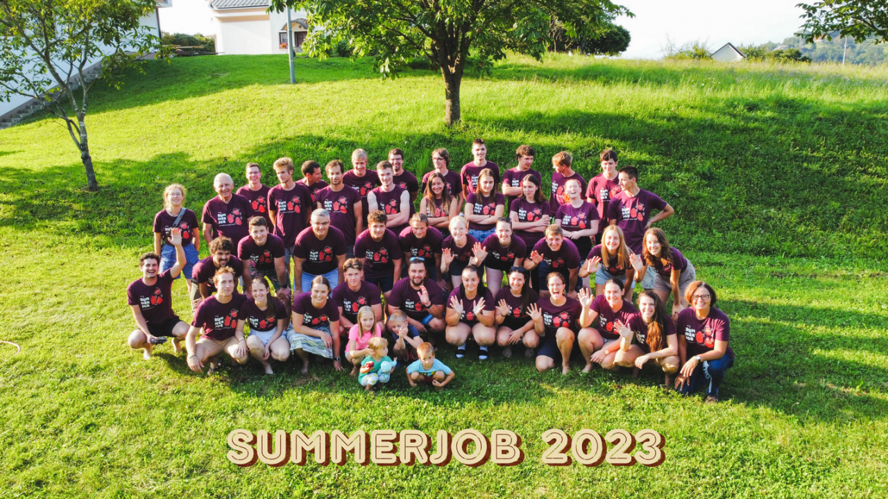 Udeleženci letošnjega Summerjoba