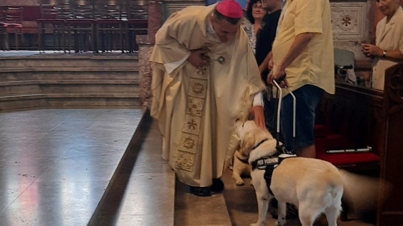 Škof Saje blagoslavlja pse spremljevalce slepih in slabovidnih