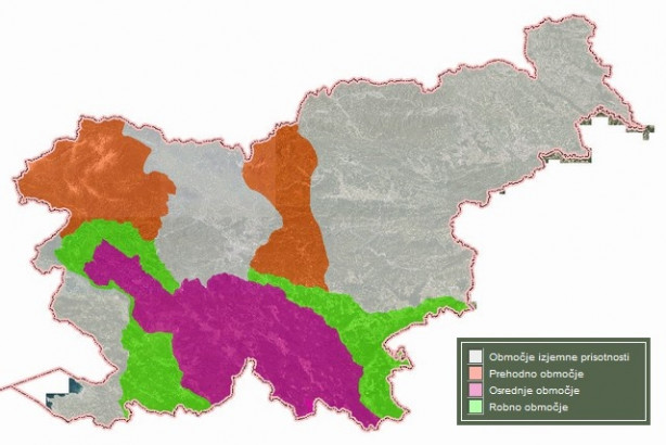 Slovenija je v celoti življenjsko območje medveda.