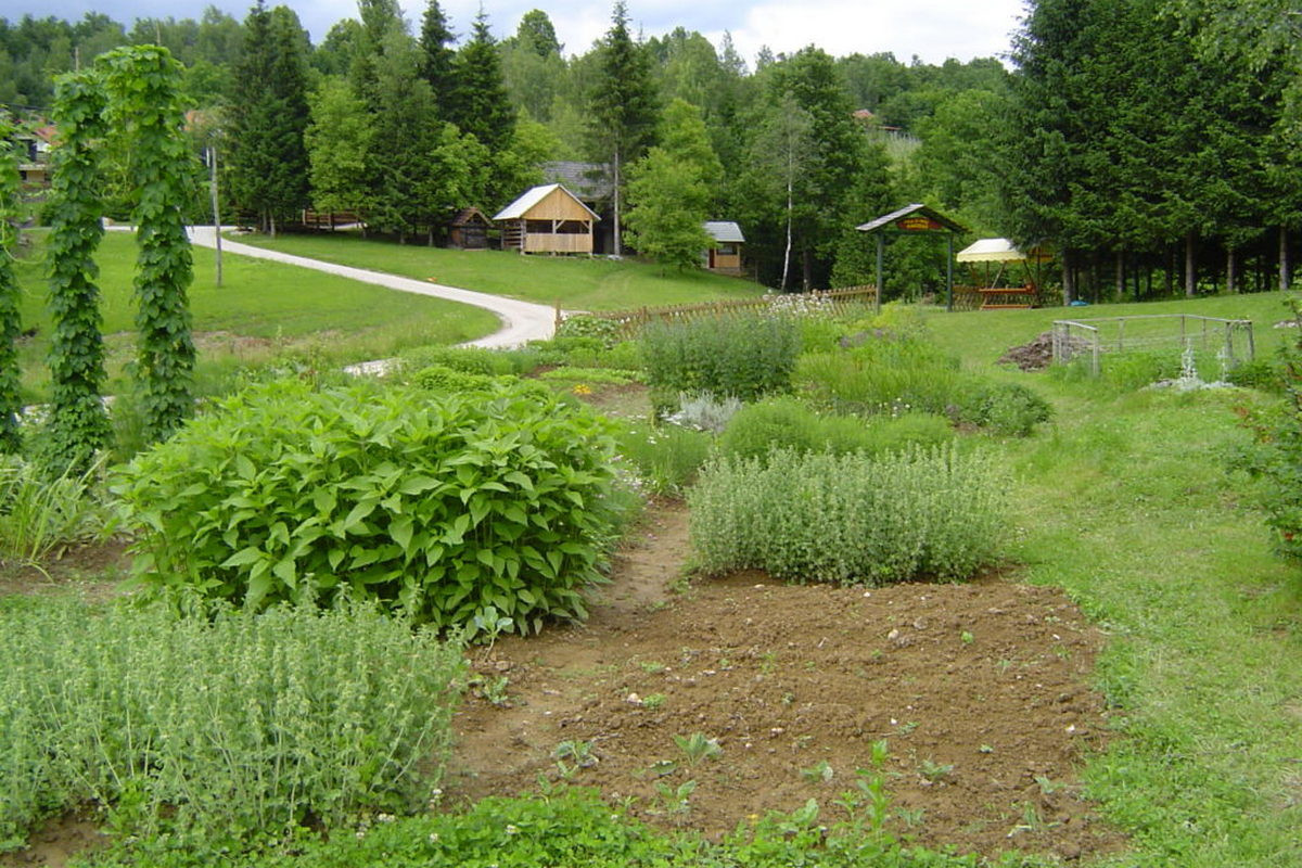Vrt z zelišči na kmetiji Plavica