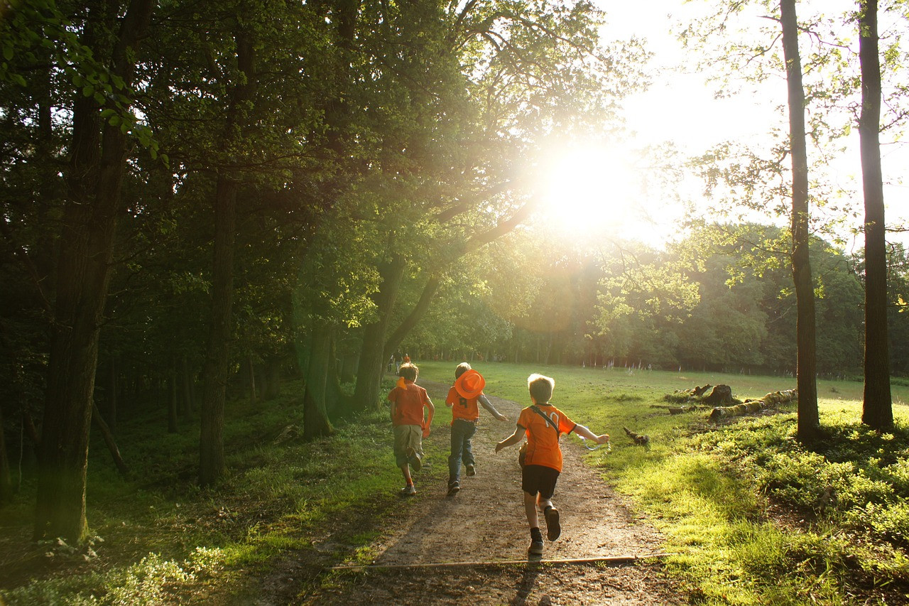 Otroci se vračajo v šole, kjer je gibanja precej, ponekod tudi v naravi, ne le v telovadnicah.
