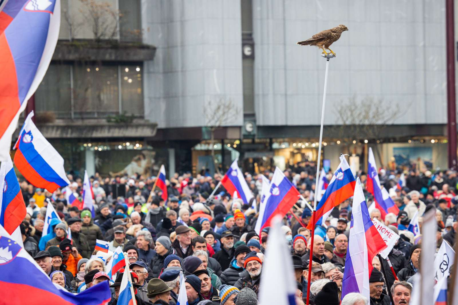 Protestni shod upokojencev, ki ga pripravlja ljudska iniciativa Glas upokojencev Slovenije.