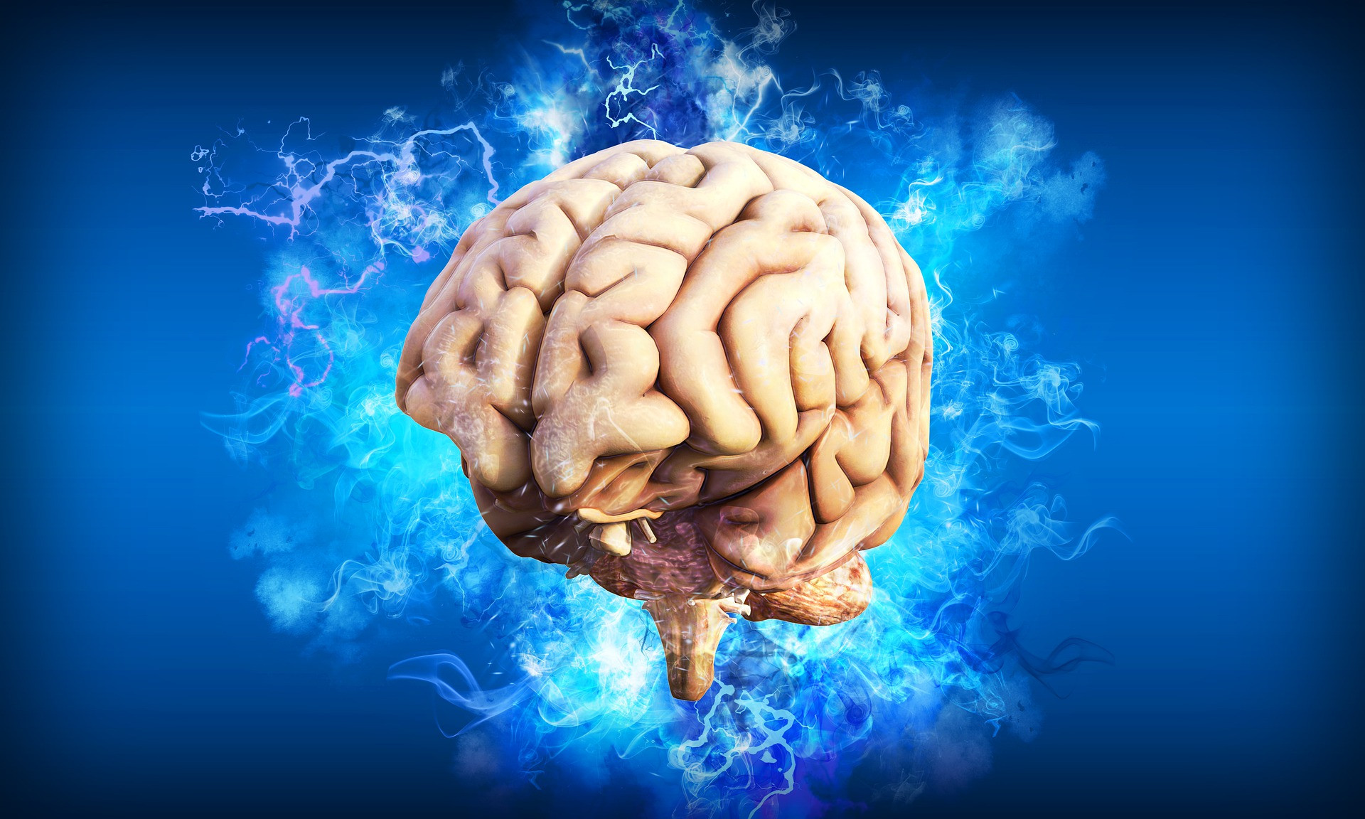 Z možgani je še vedno povezanih veliko mitov. 