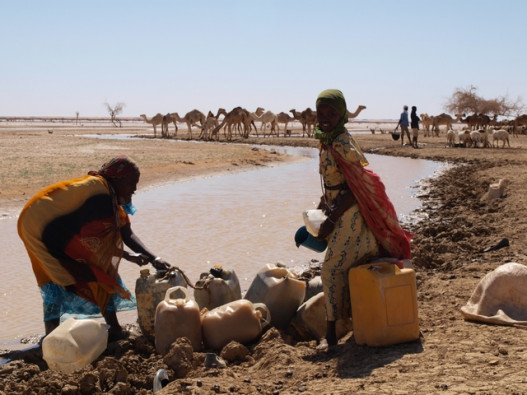 Darfurske žene morajo do vode hoditi tudi po več dni