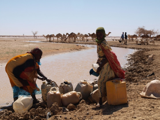 Pomanjkanje pitne vode kot posledice globalnega segrevanja v afriški pokrajini Darfur