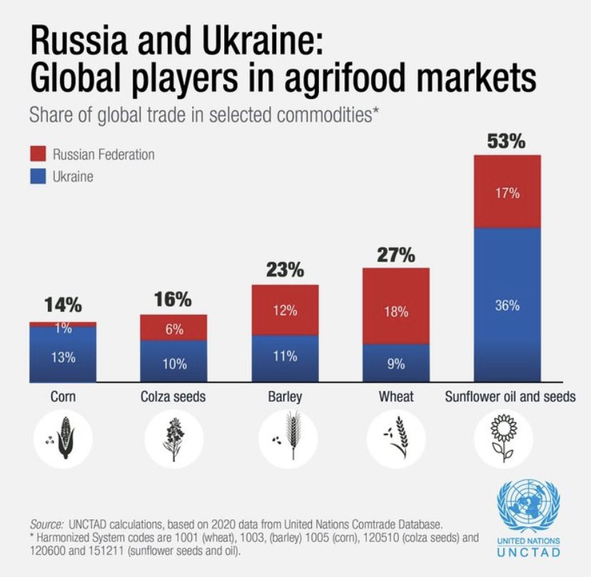 Delež posameznih poljščin iz Ukranije in Rusije na globalnem trgu.