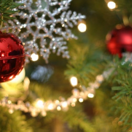 Božično drevo (photo: http://www.creativemyk.com)