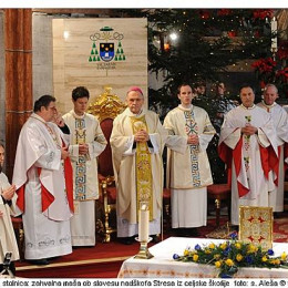 Duhovniki ob škofu (photo: www.rkc.si, s. Aleša)