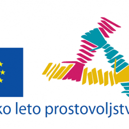 Logotip za Evropsko leto prostovoljstva (photo: www.prostovoljstvo.org)