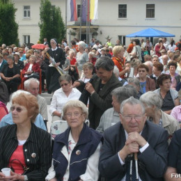 Romanje bolnikov, invalidov in starejših na Brezje (photo: Izidor Šček)