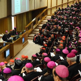 Škofje s papežem na sinodi (photo: CVT)