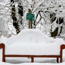 Sneg pred našim vhodom (photo: ARO)