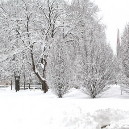 Zima na Štuli (photo: ARO)