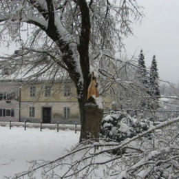 Žled, sneg, ... (photo: Občina Kamnik)