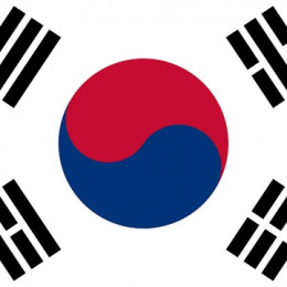 Južnokorejska zastava (photo: ARO)