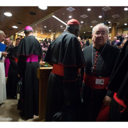 Udeleženci sinode (photo: Radio Vatikan)