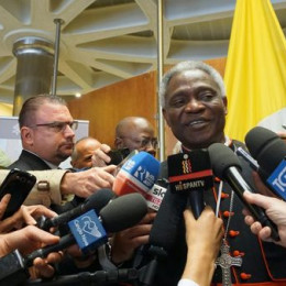 Kardinal Peter Turkson medijem sporočil, da želi Vatikan priti v stik s Pjongjangom (photo: cruxnow.com)