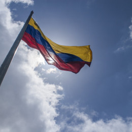 Venezuelska zastava (photo: Pixabay)