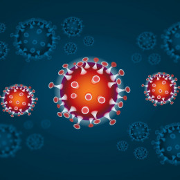 Koronavirus (photo: Pixabay)