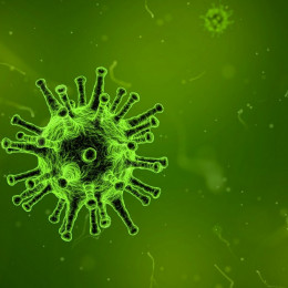 Kaj so virusi? Na spletnih straneh Hiše eksperimentov si lahko ogledate zadnje predavanje dr. Mojce Rajter  (photo: pixabay)