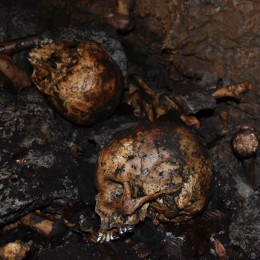 Človeški posmrtni ostanki v Kočevskem rogu (photo: Uroš Košir)