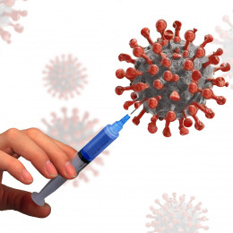 Strokovnjaka o cepivih proti novemu koronavirusu,; cepivo, koronavirus (photo: Pixabay)