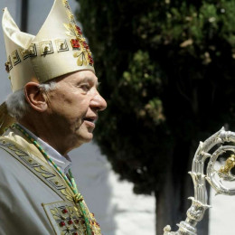Škof Jurij Bizjak (photo: STA)