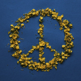 Znak za mir (photo: Pixabay)