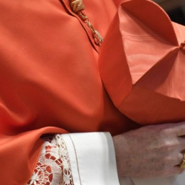 27. avgusta bomo dobili nove kardinale (photo: Vatican Media)