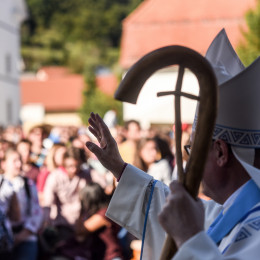 Mariborski nadškof Alojzij Cvikl (photo: Rok Mihevc)