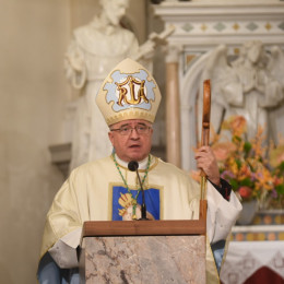 Škof Franc Šuštar (photo: Rok Mihevc)