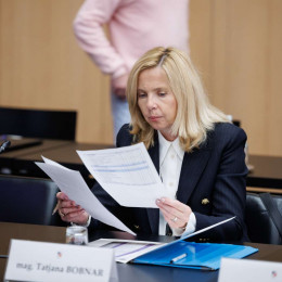 Tatjana Bobnar še kot ministrica za notranje zadeve (photo: STA )
