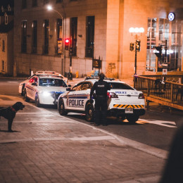Policija (photo: pexels / Eric Mclean)